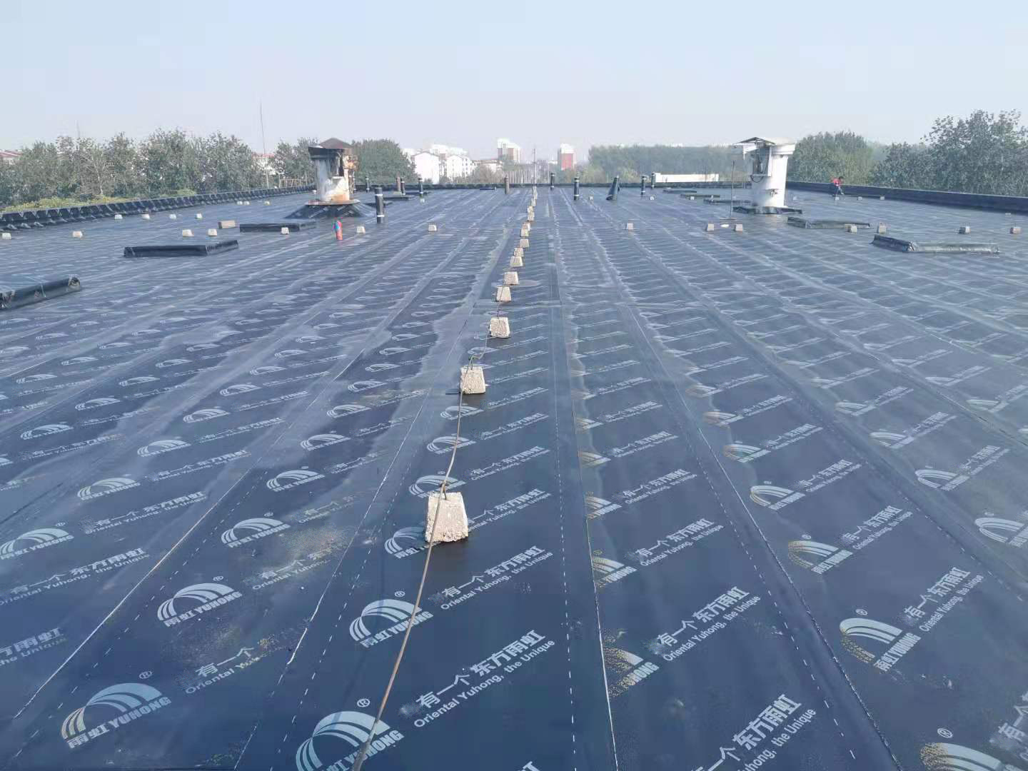 77 C ȫȫ̬ȵֱƽ̨