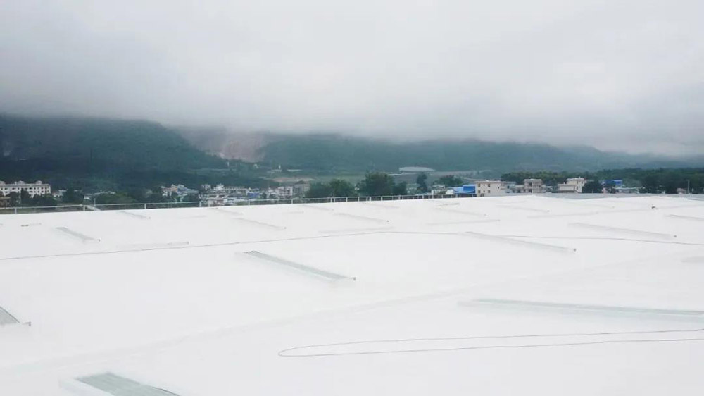 77体育 – 全网最全最有态度的体育赛事直播平台