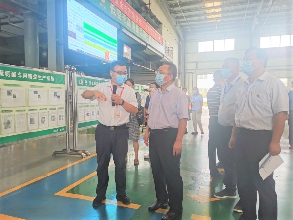 77���� �C ȫ����ȫ����̬�ȵ���������ֱ��ƽ̨