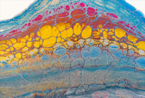 333���� - ��̬�ȵ������Ż�