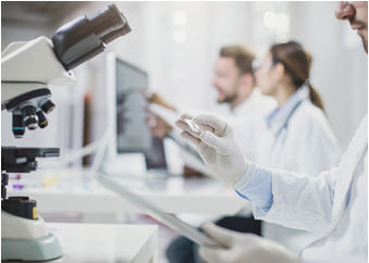 333���� - ��̬�ȵ������Ż�