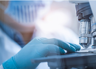 333���� - ��̬�ȵ������Ż�