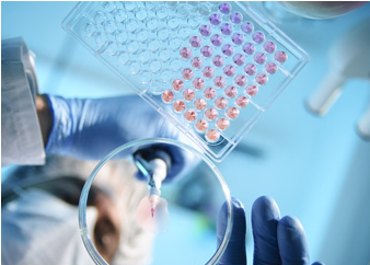 333���� - ��̬�ȵ������Ż�