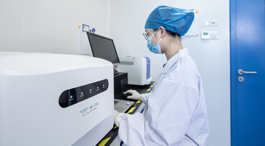 333���� - ��̬�ȵ������Ż�