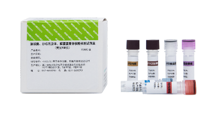 333���� - ��̬�ȵ������Ż�