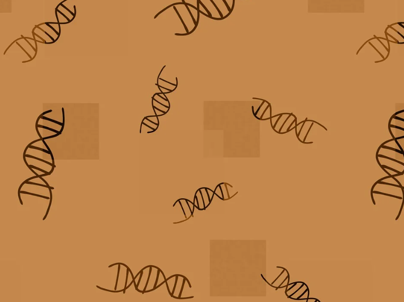 333���� - ��̬�ȵ������Ż�