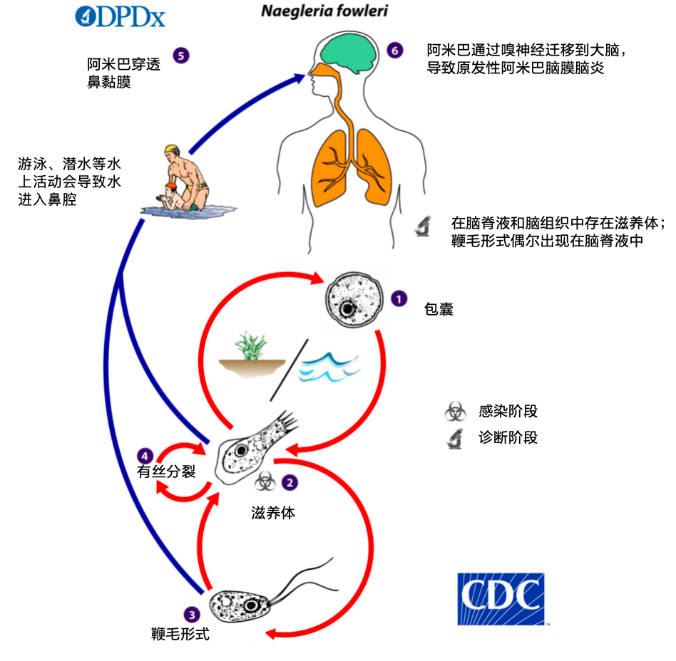 1752546615916721.png 1.png