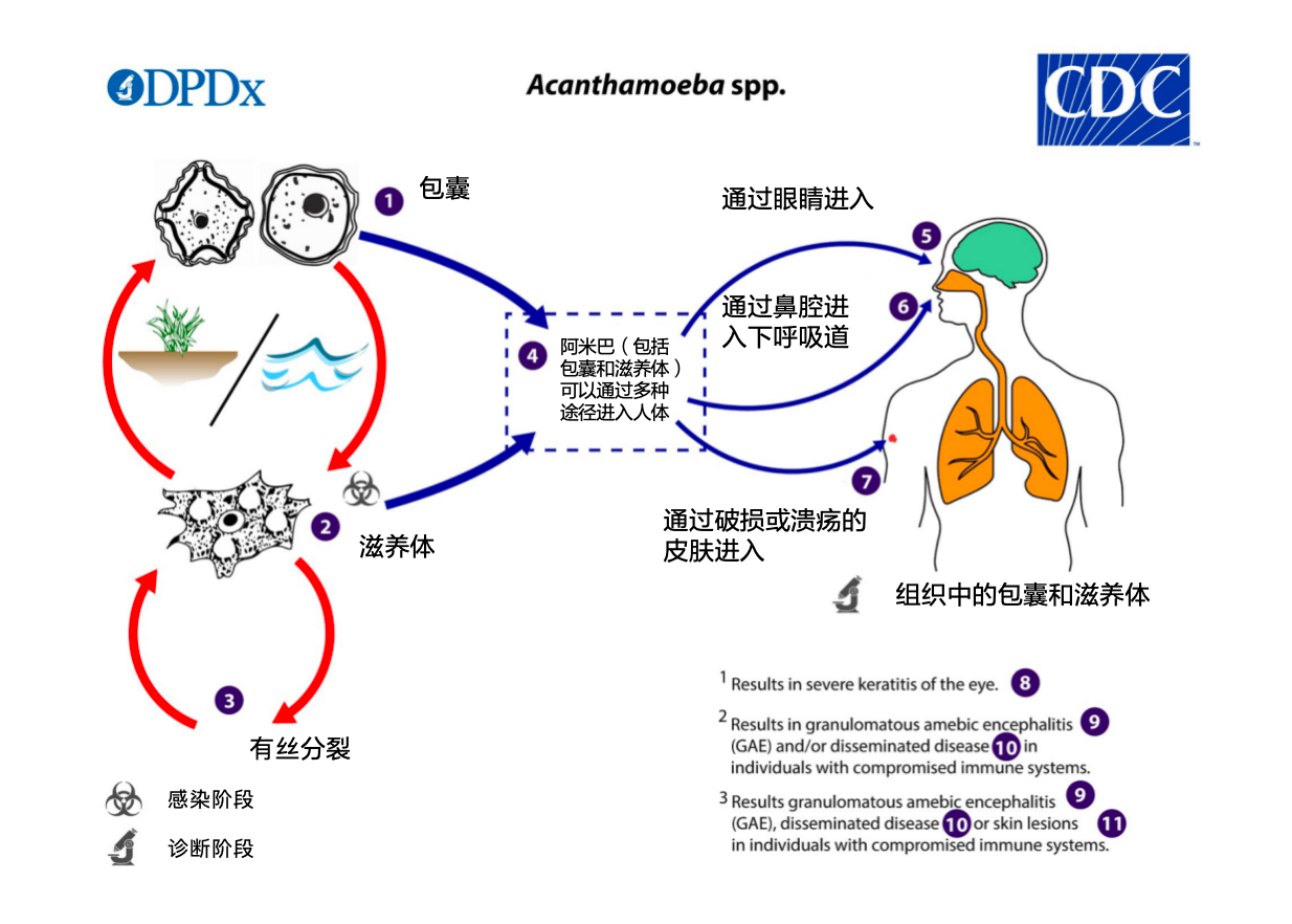 1752546634687126.png 3.png