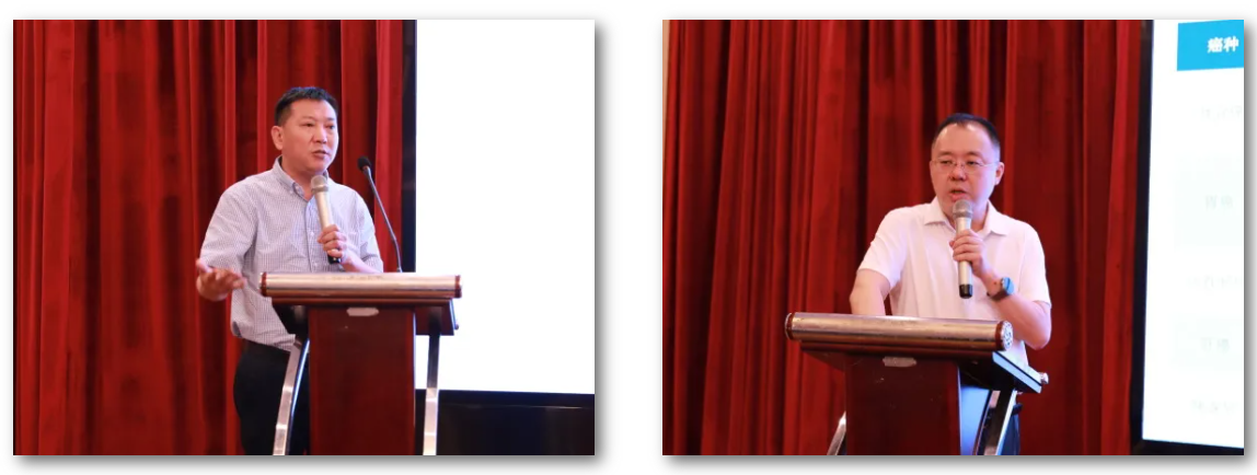 1755166199388561.png 43.png